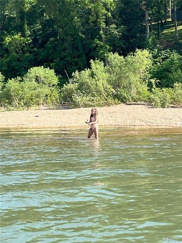 1 Richbark Lane, Van Buren, MO 63965