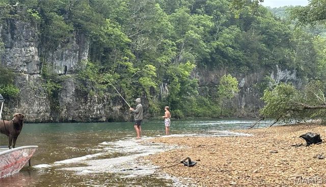 1 Richbark Lane, Van Buren, MO 63965