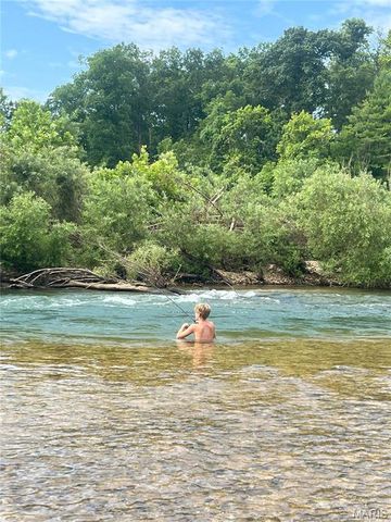 1 Richbark Lane, Van Buren, MO 63965