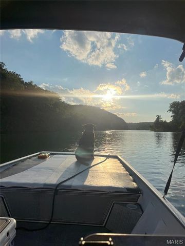 1 Richbark Lane, Van Buren, MO 63965