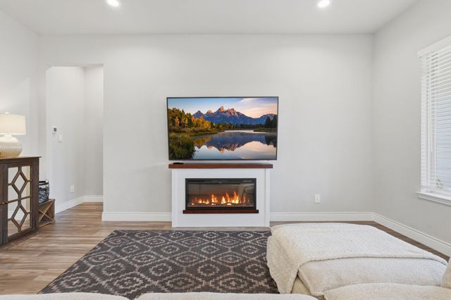 1233 Antelope Passing Drive, Montgomery, TX 77316