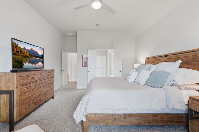 1233 Antelope Passing Drive, Montgomery, TX 77316