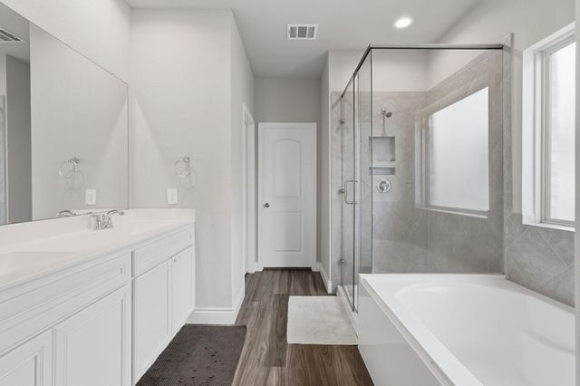 1233 Antelope Passing Drive, Montgomery, TX 77316