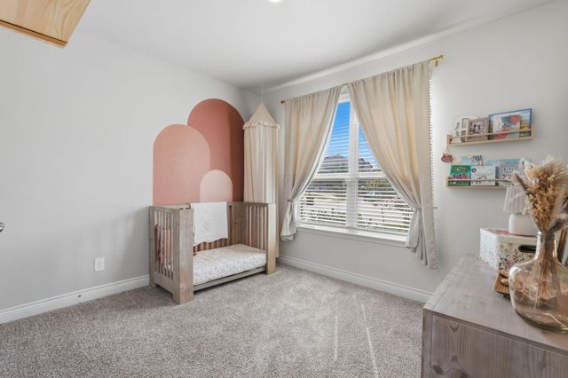 1233 Antelope Passing Drive, Montgomery, TX 77316