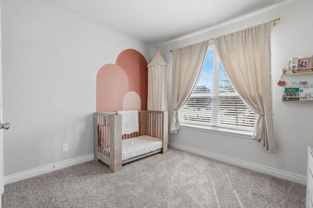 1233 Antelope Passing Drive, Montgomery, TX 77316