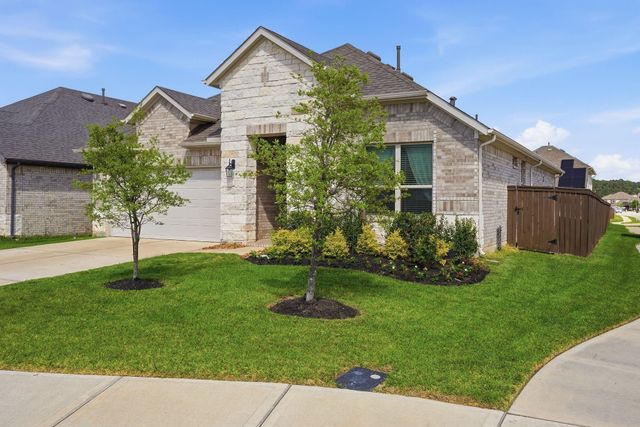 1233 Antelope Passing Drive, Montgomery, TX 77316