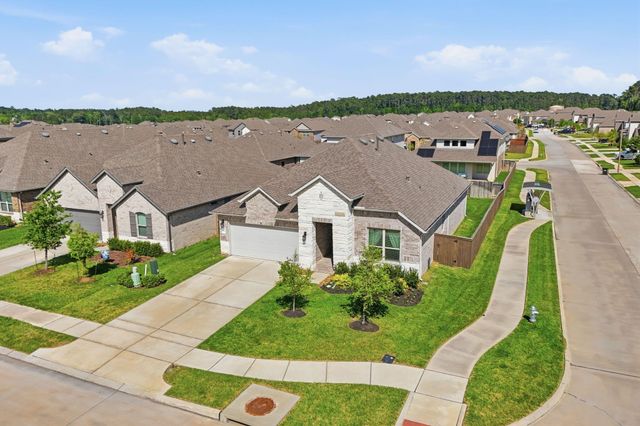 1233 Antelope Passing Drive, Montgomery, TX 77316