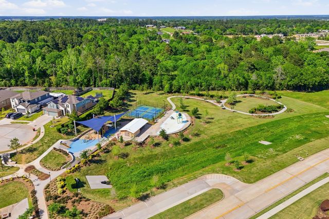 1233 Antelope Passing Drive, Montgomery, TX 77316