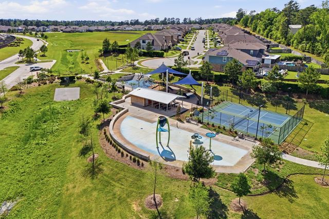 1233 Antelope Passing Drive, Montgomery, TX 77316