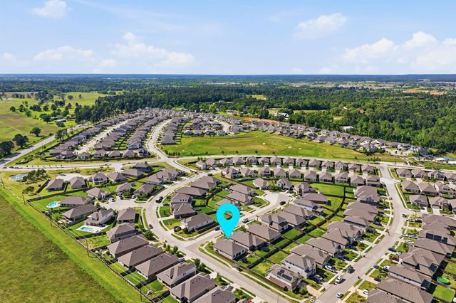 1233 Antelope Passing Drive, Montgomery, TX 77316