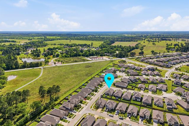 1233 Antelope Passing Drive, Montgomery, TX 77316