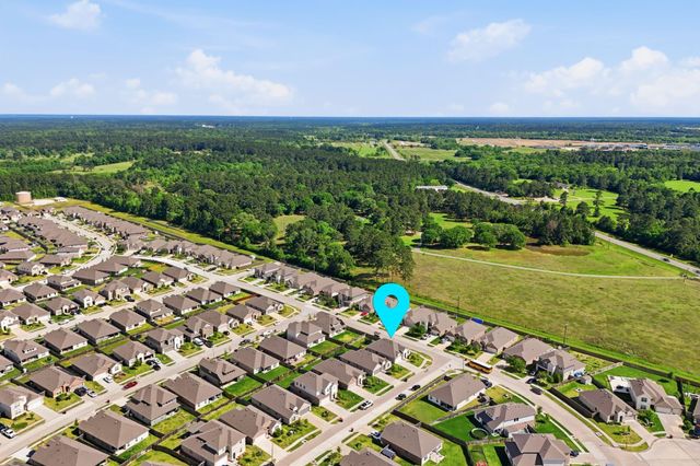 1233 Antelope Passing Drive, Montgomery, TX 77316