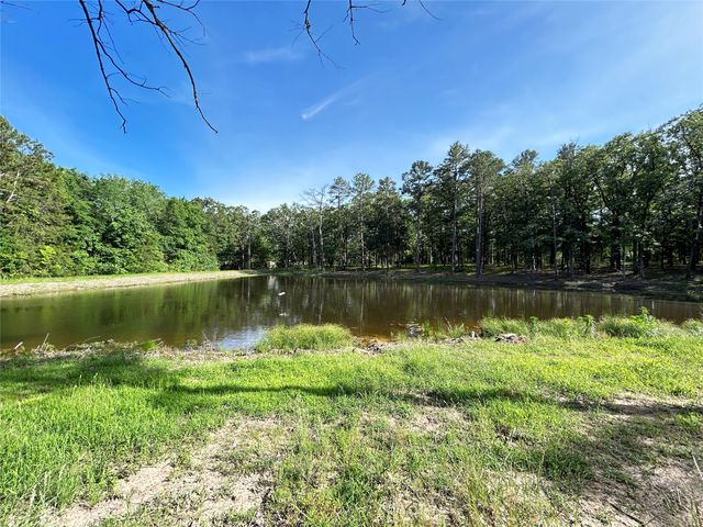 3236 Farm Road 3019, Winnsboro, TX 75494