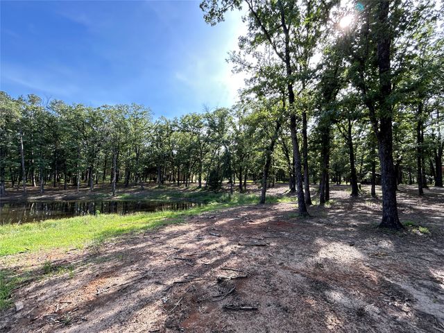 3236 Farm Road 3019, Winnsboro, TX 75494