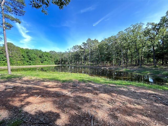 3236 Farm Road 3019, Winnsboro, TX 75494