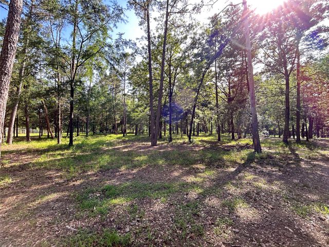 3236 Farm Road 3019, Winnsboro, TX 75494