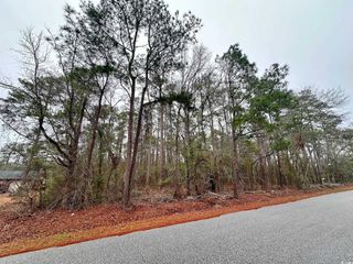 5370 Crutchlow Ct., Nichols, SC 29581
