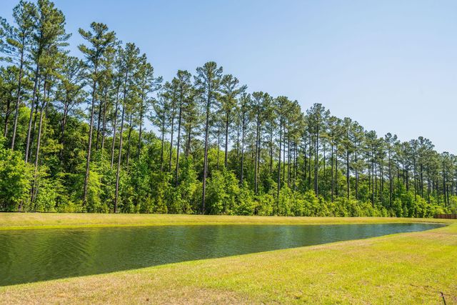 169 Huguenot Trail, Huger, SC 29450