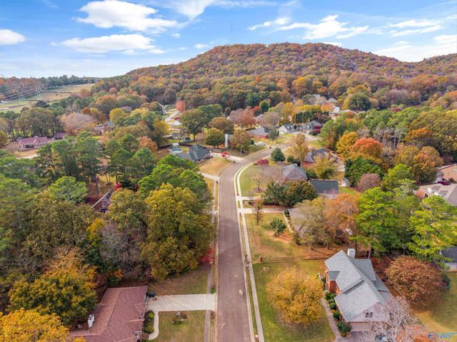 238 Cheswick Drive, Madison, AL 35757