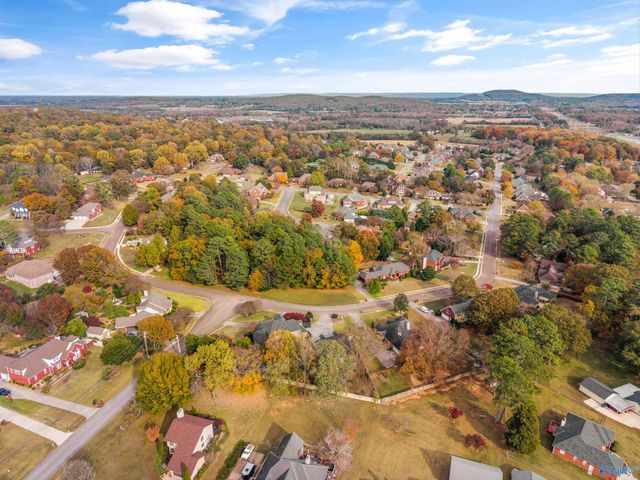 238 Cheswick Drive, Madison, AL 35757