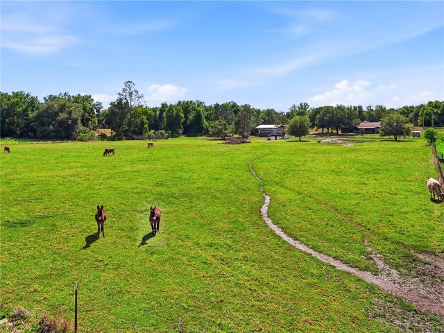 39000 SPARKMAN ROAD, Dade City, FL 33525