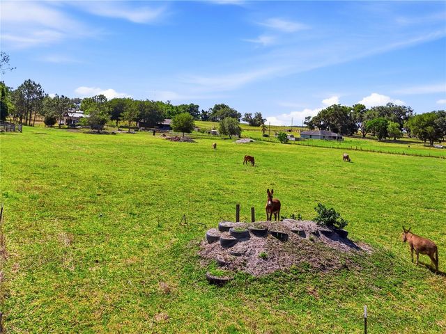 39000 SPARKMAN ROAD, Dade City, FL 33525