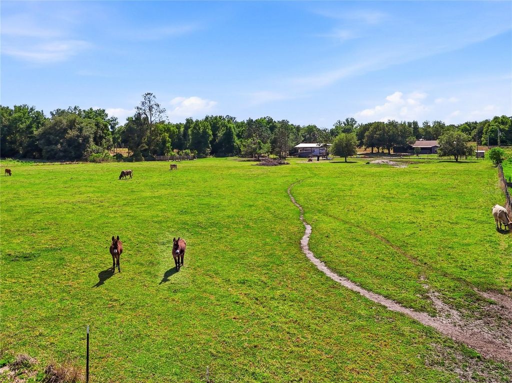 Image 39 of property listing at 39000 SPARKMAN ROAD, Dade City, FL 33525