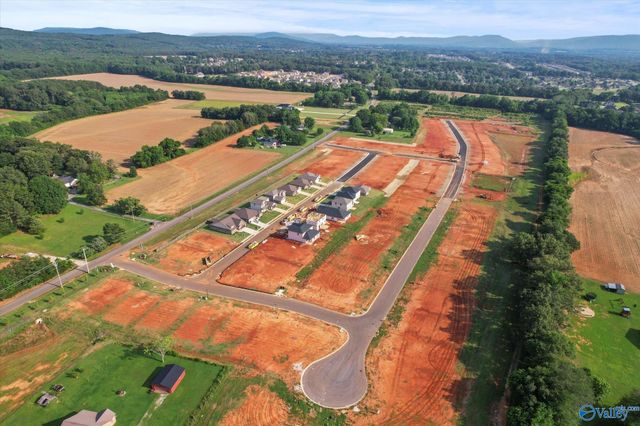 215 Roman Randall Road, New Market, AL 35761