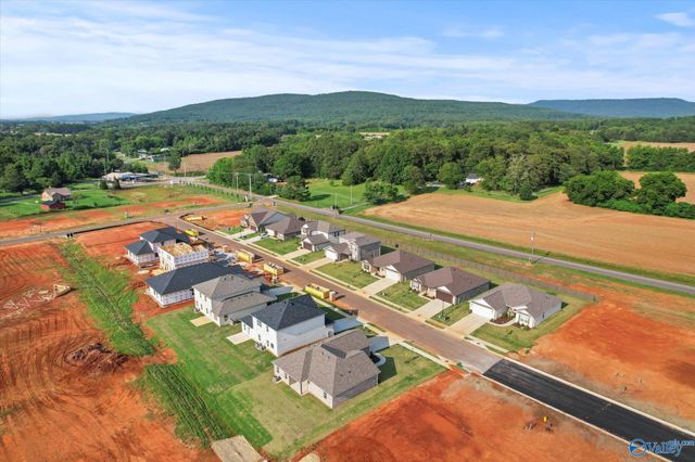 215 Roman Randall Road, New Market, AL 35761