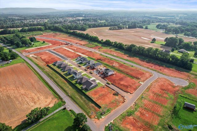 215 Roman Randall Road, New Market, AL 35761