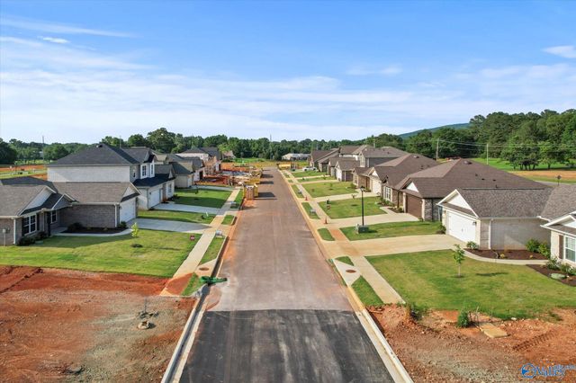 215 Roman Randall Road, New Market, AL 35761