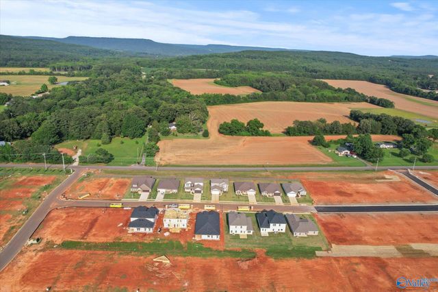 215 Roman Randall Road, New Market, AL 35761