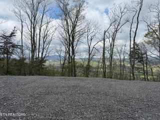 3.93 Acres Green Forest Rd, Cosby, TN 37722