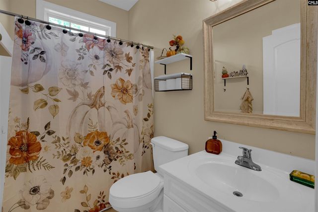 582 Village Church Drive, Chapin, SC 29036