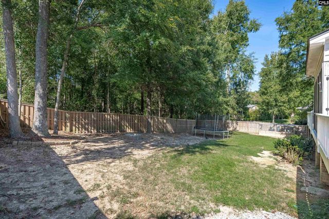 582 Village Church Drive, Chapin, SC 29036