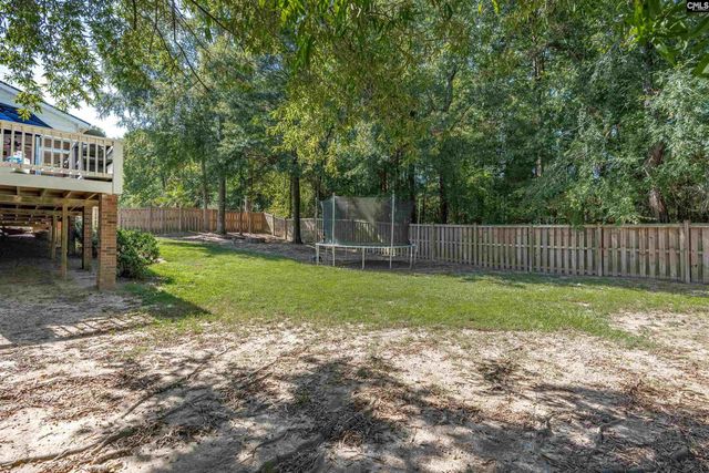 582 Village Church Drive, Chapin, SC 29036