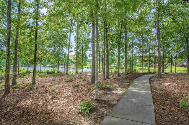 582 Village Church Drive, Chapin, SC 29036