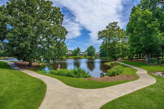 582 Village Church Drive, Chapin, SC 29036