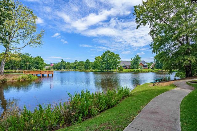 582 Village Church Drive, Chapin, SC 29036