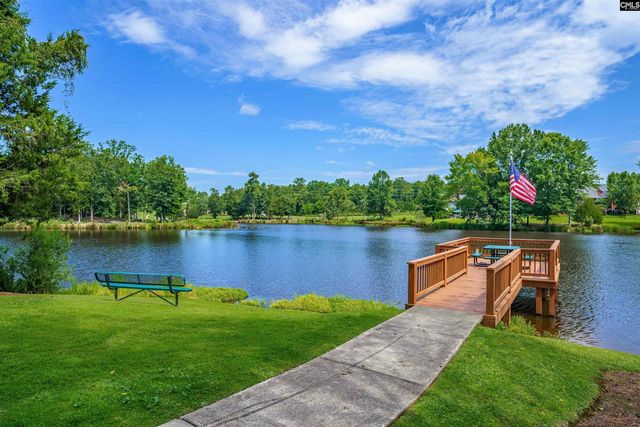 582 Village Church Drive, Chapin, SC 29036