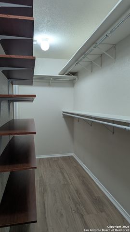 10731 Butterfly Flat, San Antonio, TX 78254