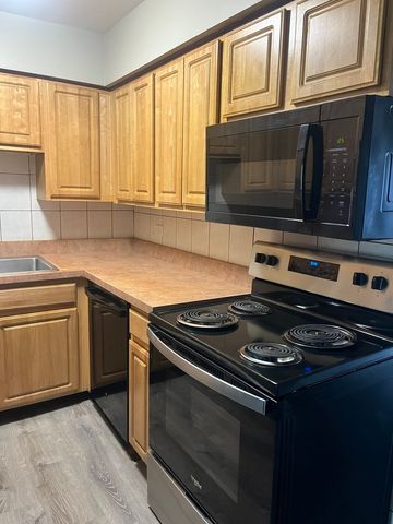 9729 S Ridgeland Avenue 302, Oak Lawn, IL 60453
