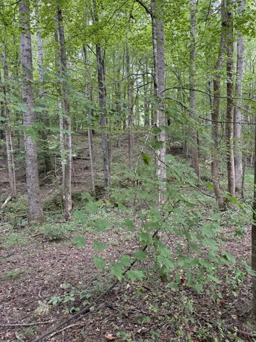 1240 Johnson Branch Rd, Pulaski, TN 38478