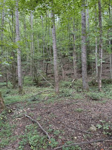 1240 Johnson Branch Rd, Pulaski, TN 38478