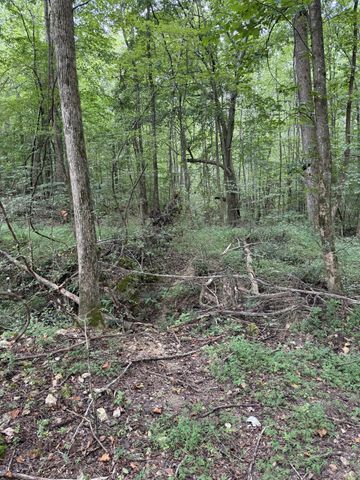 1240 Johnson Branch Rd, Pulaski, TN 38478