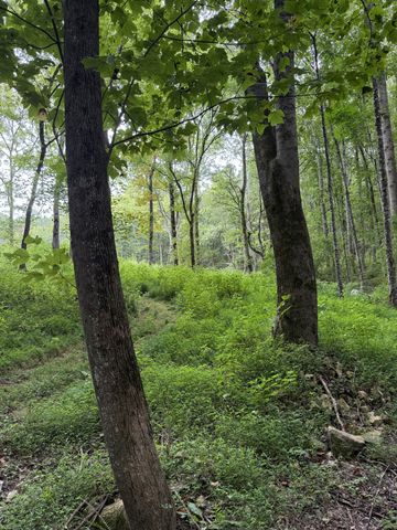 1240 Johnson Branch Rd, Pulaski, TN 38478