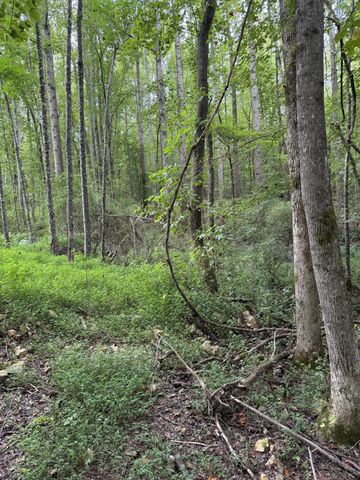 1240 Johnson Branch Rd, Pulaski, TN 38478