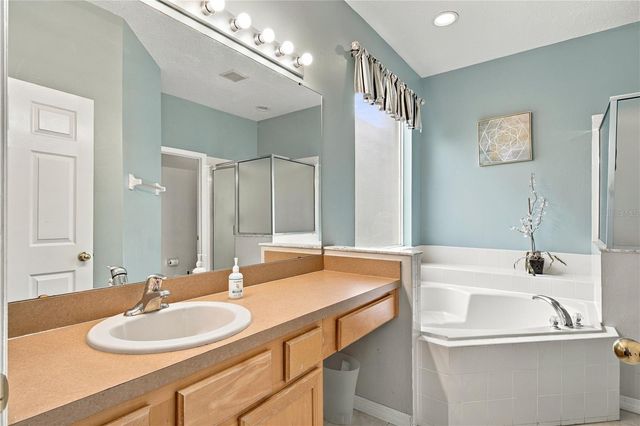 8514 PALM HARBOUR DRIVE, Kissimmee, FL 34747