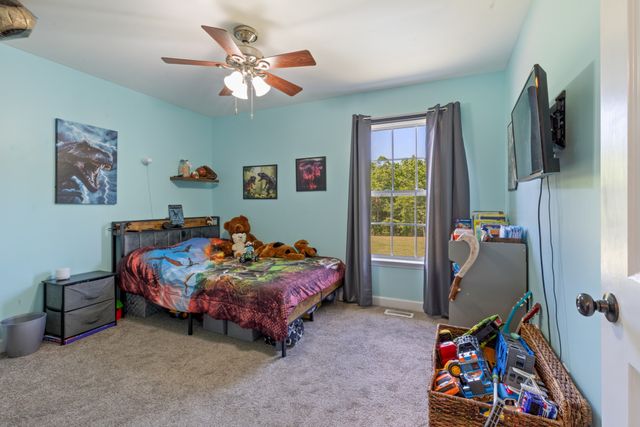 207 Coleman Dr, White Bluff, TN 37187