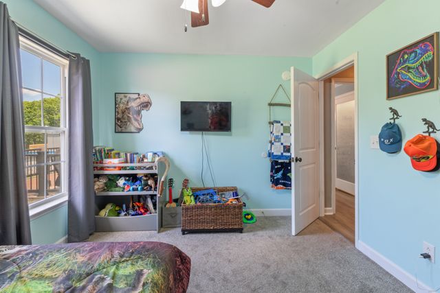 207 Coleman Dr, White Bluff, TN 37187